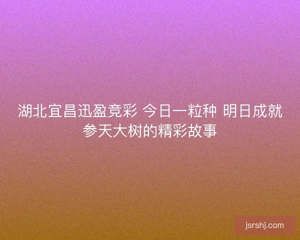 湖北宜昌迅盈竞彩 今日一粒种 明日成就参天大树的精彩故事